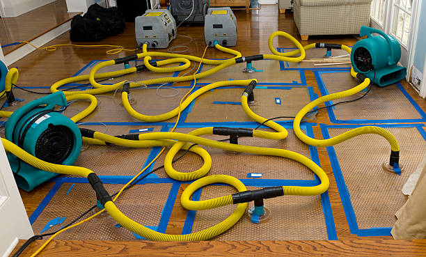 Professional Water Damage Repair technician working in Riverside, RI